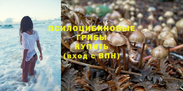 кокаин колумбия Белокуриха