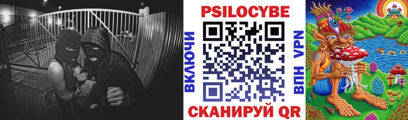 купить   Брянск  Галлюциногенные грибы прущие грибы 
